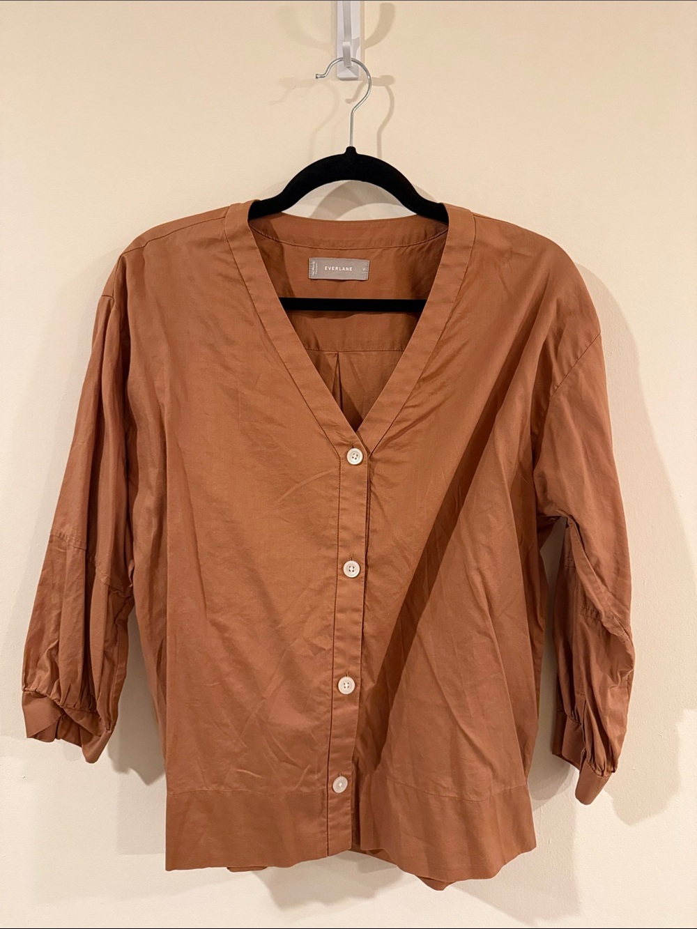 Everlane Women's Rust-Toned Button Down V-Neck Shirt